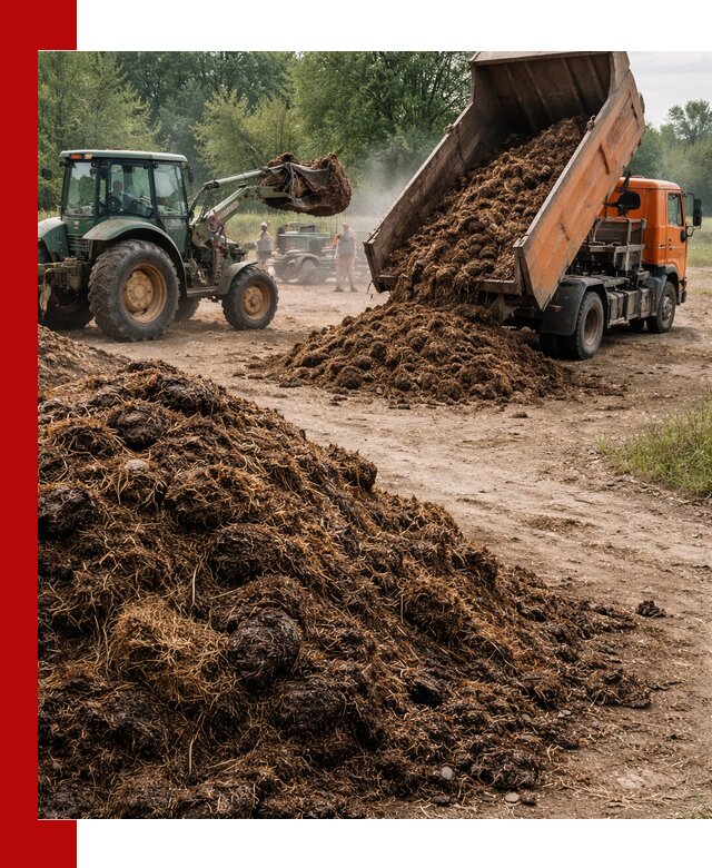 Доставка навоза самосвалами в Воскресенске для сельхозпотребностей